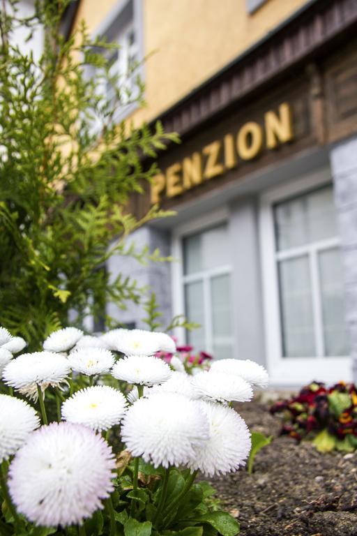 Penzion 43 Bor Εξωτερικό φωτογραφία